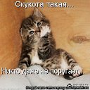 ���� �����, ����������� - ��������� 5 ���� 2018 � ������ ���� ����������