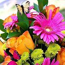 ���� ��������, ����������, 64 ���� - ��������� 15 ������� 2018 � ������ ���� ����������