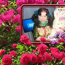 ���� �������, ������ ��������, 67 ��� - ��������� 28 ����� 2018 � ������ ��������
