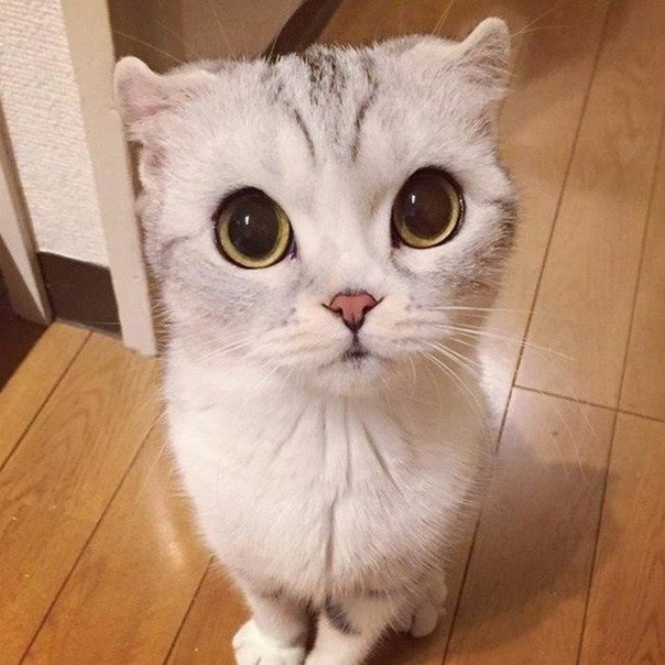      ,    Instagram - 4