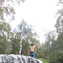 ��������, ����������, 46 ���