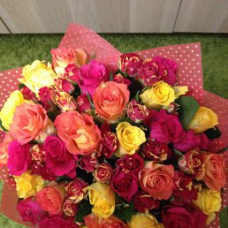 ���� �������, ����, 49 ��� - ��������� 14 ��� 2018