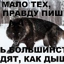  , , 59  -  27  2018        !