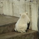 ���� ������, ������ - ��������� 25 ��� 2018 � ������ �������������� �������