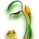 ���� �������, ��������� - ��������� 3 ����� 2018 � ������ ���� ����������