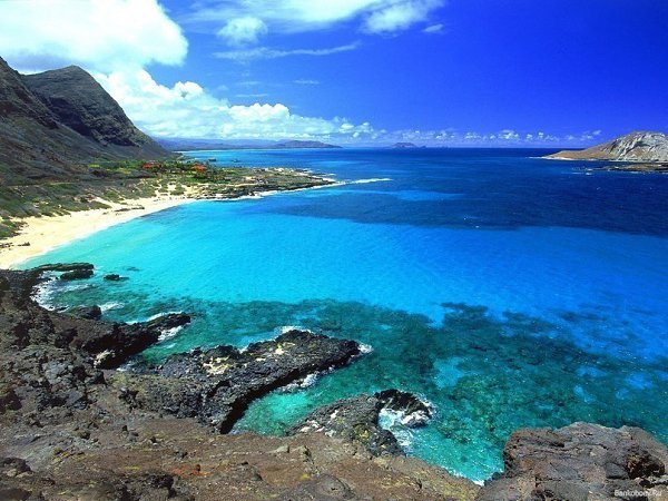 Красное море — самое молодое, самое соленое, самое красивое и самое богатое. - 3