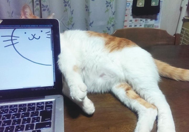   - 2