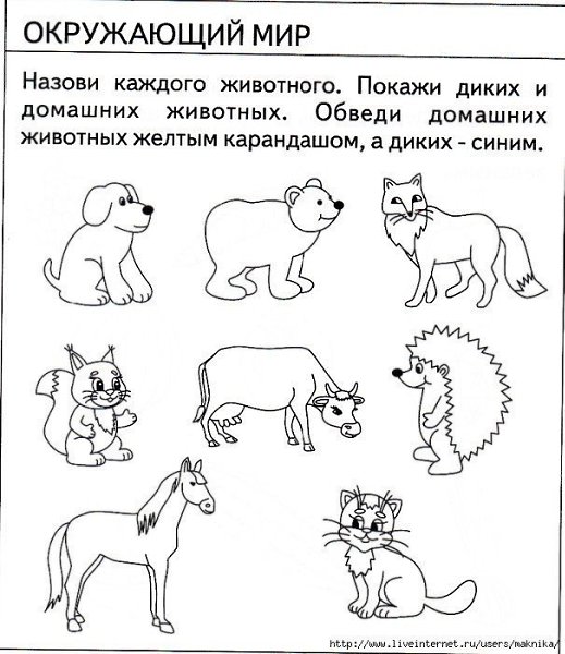 Тесты для детей 5 лет. Хорошо ли малыш знает окружающий мир? - 2