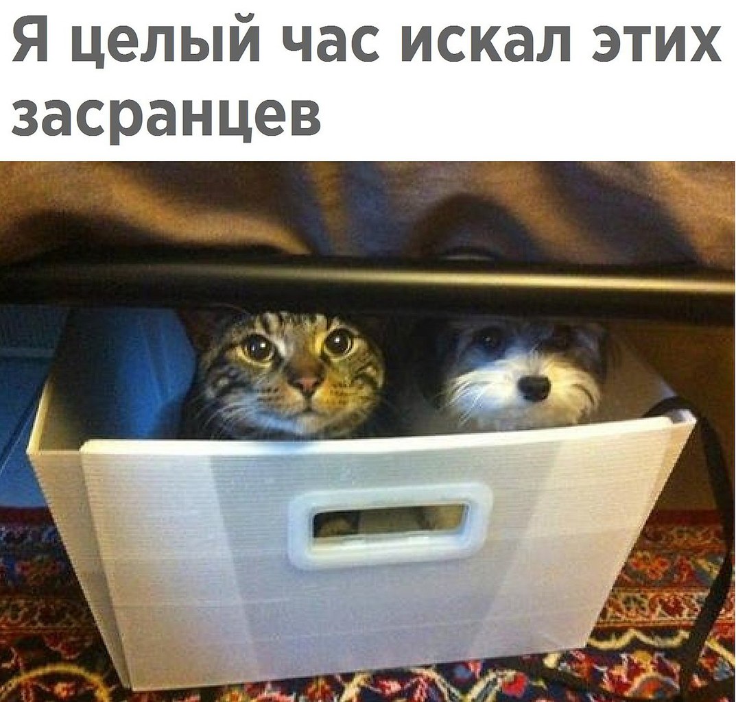    - 5  2018  08:13