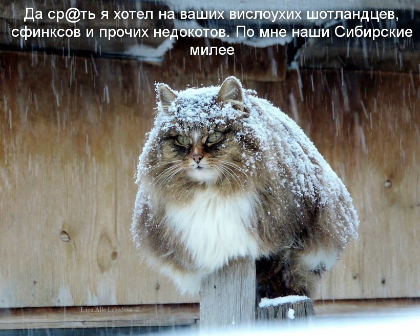  - 27  2017  12:53