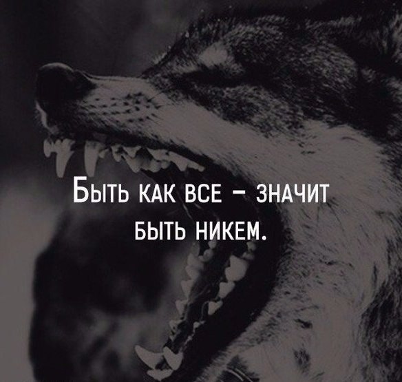 SportFeed - 15 ������� 2017 � 03:25