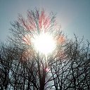 ���� �����, �����, 64 ���� - ��������� 29 ������ 2018 � ������ ���������� ������