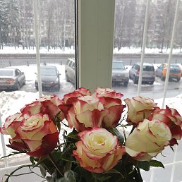 ����, ������, 39 ���