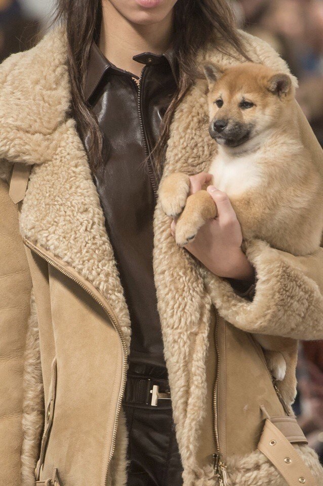   TodS Fall 2018,     . - 2