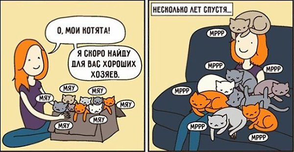  - 15  2018  02:43
