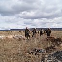  ,  -  22  2018   321 