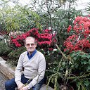 ���� ����, ������, 77 ��� - ��������� 25 ������� 2018 � ������ ���