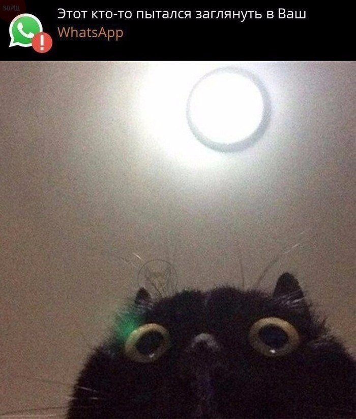       - 8  2017  03:43