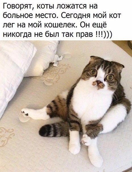  - 18  2018  04:03