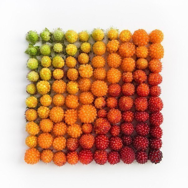  - Emily Blincoe - 3