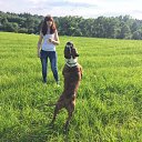 ���� ������, ������ - ��������� 2 ������� 2017 � ������ ���� ����������