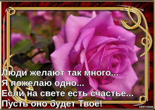  - 17  2018  01:26