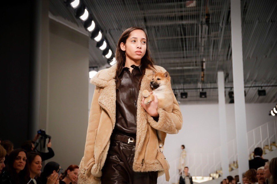   TodS Fall 2018,     . - 5