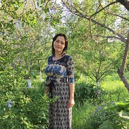 ����, ������, 54 ����