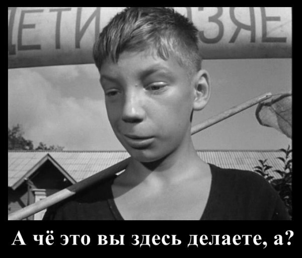 Alexsandr - 21  2017  08:27