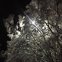 ���� ����, ����������, 58 ��� - ��������� 3 ������� 2017 � ������ ���� ����������