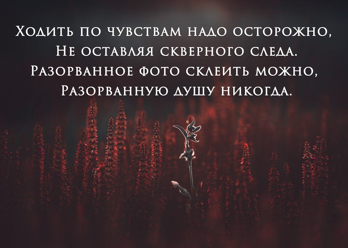  - 6  2017  12:34