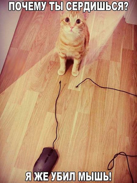 Nightjar - 22  2018  09:27 - 25