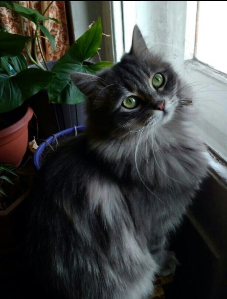 #_.  .            ... ... - 5