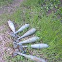 ���� ������, �������, 40 ��� - ��������� 30 ������ 2018 � ������ ������ ��������