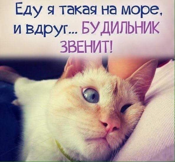   :D - 13  2018  03:56