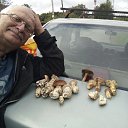 ���� ������, ������ - ��������� 1 ������ 2018 � ������ ���� ����������