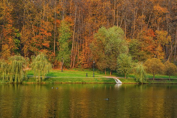 Отражение осени, пока зима набирает обороты :) #fall #autumn #colors #yellow #sony #alpha #citylife ... - 5