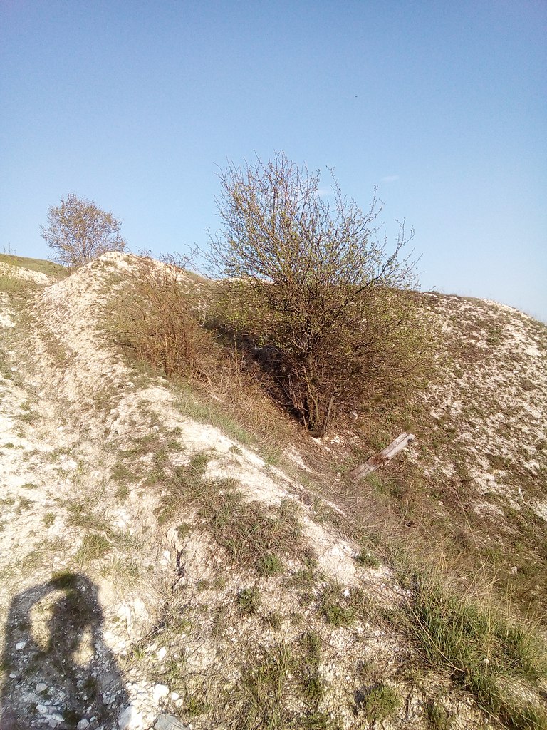 ���� ������� - 1 ��� 2018 � 10:53 - 3