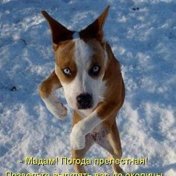  Sergey, , 60  -  25  2017