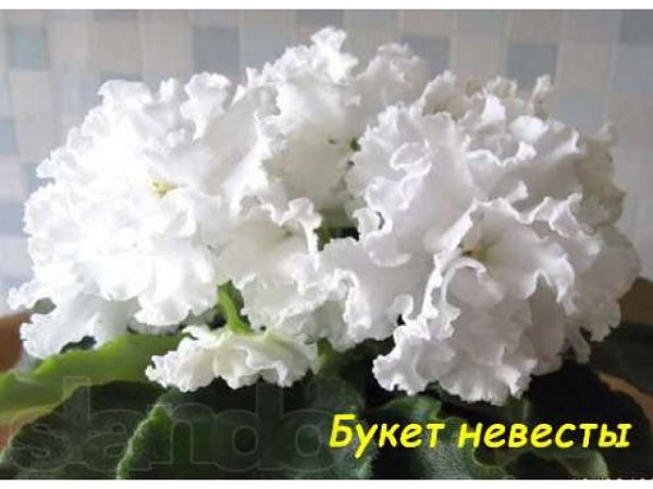 Прикол!!! Сегодня многие мои друзья получили подарки от... меня. Честное пионерское я их вам не ...