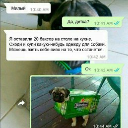 ���������, ������������