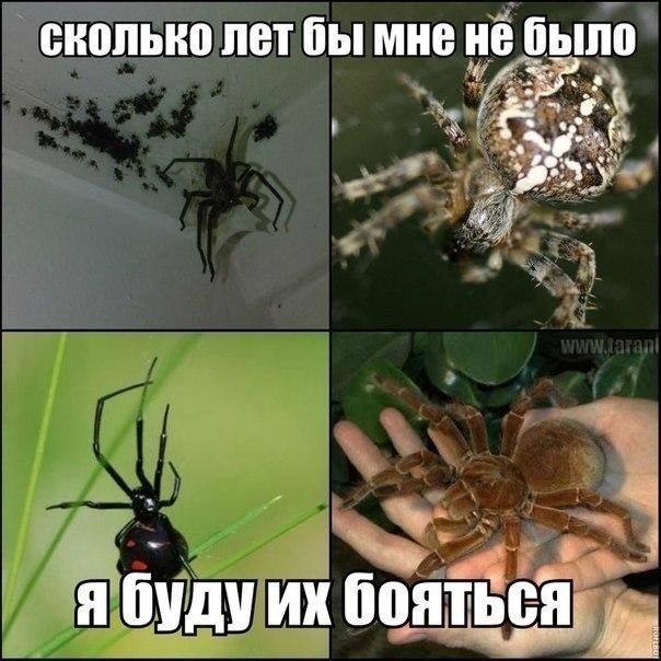 World History - 29  2017  03:23