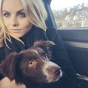 ���� ����, ������������ - ��������� 9 ������� 2017