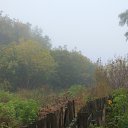 ���� ����, �������, 56 ��� - ��������� 1 ���� 2018 � ������ ���� ����������