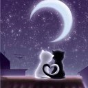 ���� �����, ������ - ��������� 30 ������� 2017 � ������ ������ ��������