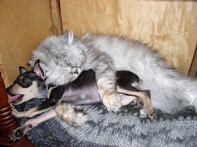 ...         "   "... =)