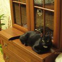 ���� �������, ��������, 47 ��� - ��������� 12 ����� 2018 � ������ �����������