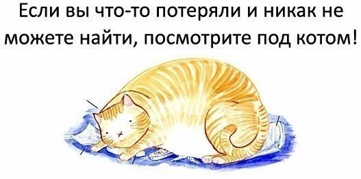  -  - 5  2018  03:44