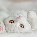 ���� �����, �������, 23 ���� - ��������� 29 ������ 2018 � ������ ���� ����������