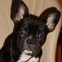 ���� �����, ������-���������, 51 ��� - ��������� 21 ������� 2018 � ������ ���� �������)))�